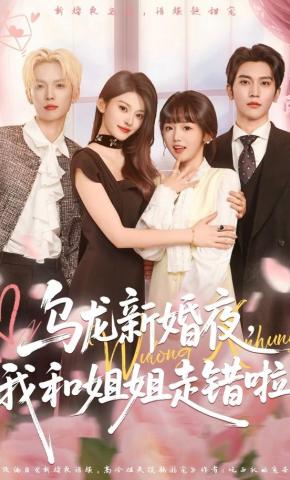 短剧《乌龙新婚夜，我和姐姐走错啦》海报