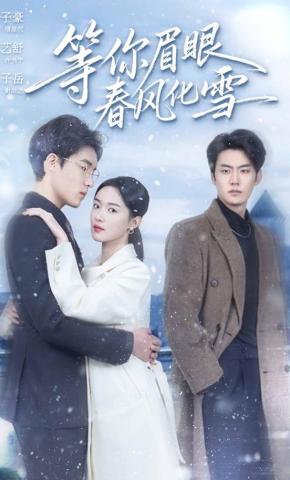 短剧《等你眉眼春风化雪》海报