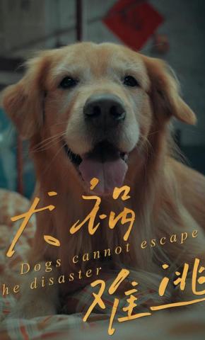 短剧《犬祸难逃》海报