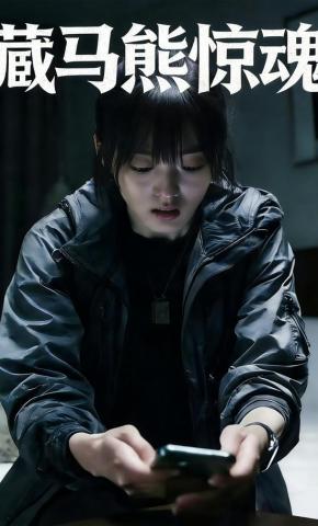 短剧《藏马熊惊魂》海报