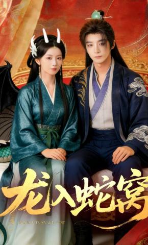 短剧《龙入蛇窝》海报