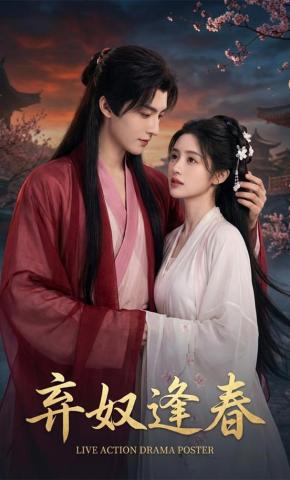 短剧《弃奴逢春》海报