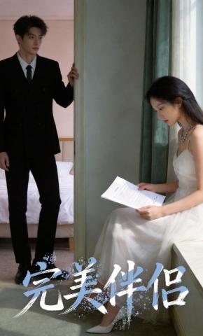 短剧《完美伴侣》海报