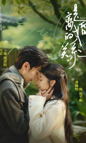 短剧是离婚的关系海报