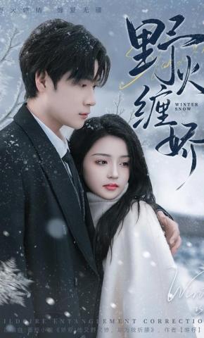 短剧《野火缠娇》海报