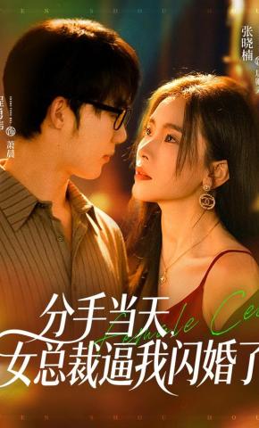 短剧《分手当天，女总裁逼我闪婚了》海报