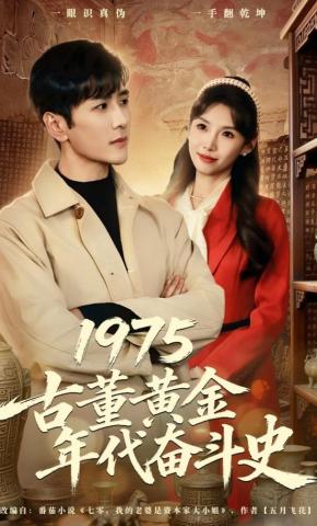 短剧《1975古董黄金年代奋斗史》海报