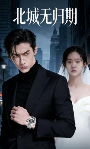 短剧《北城无归期》海报