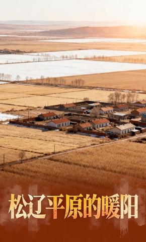 短剧《松辽平原的暖阳》海报