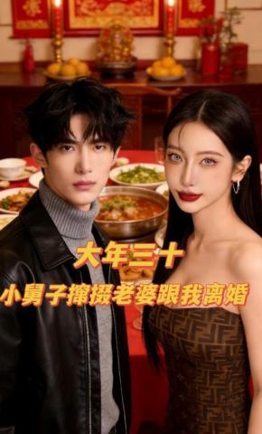 短剧《大年三十，小舅子撺掇老婆跟我离婚》海报