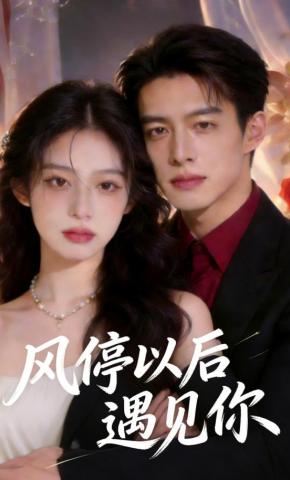 短剧《风停以后遇见你》海报