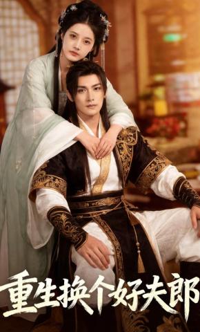 短剧《重生换个好夫郎》海报