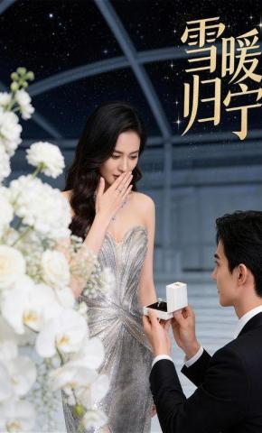 短剧《雪暖归宁》海报