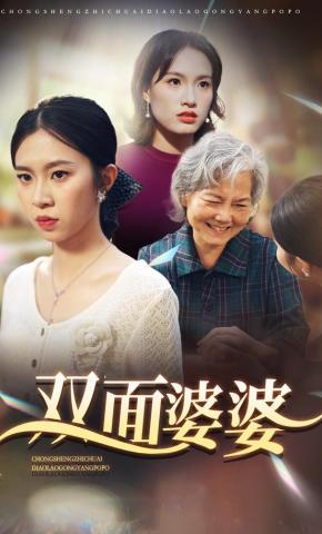 短剧双面婆婆海报