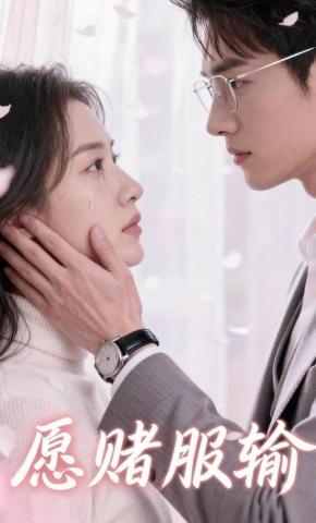 短剧《愿赌服输》海报