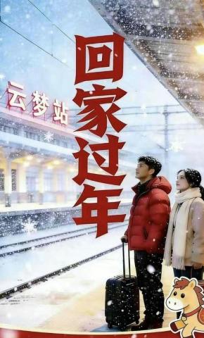 短剧《回家过年》海报