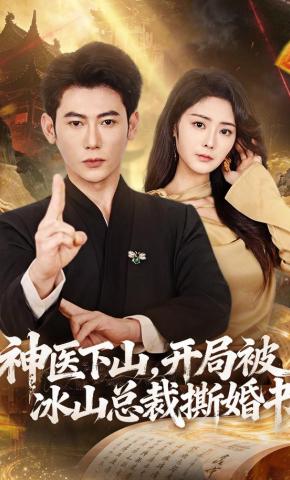 短剧《神医下山，开局被冰山总裁撕婚书》海报