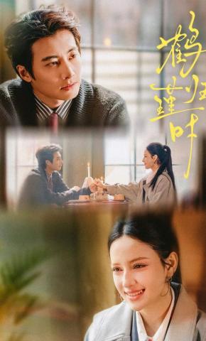 短剧《鹤归瑾时》海报