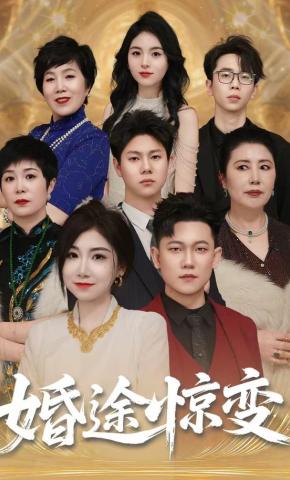 短剧《婚途惊变》海报