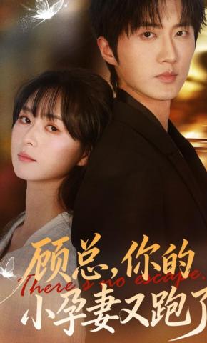 短剧《顾总，你的小孕妻又跑了》海报