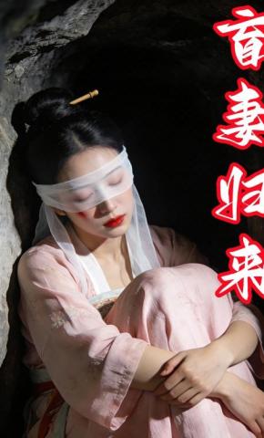 短剧《盲妻归来》海报