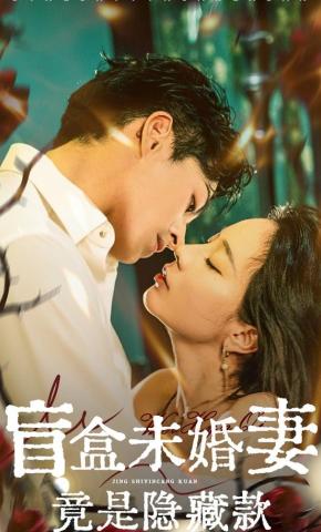 短剧《盲盒未婚妻竟是隐藏款》海报