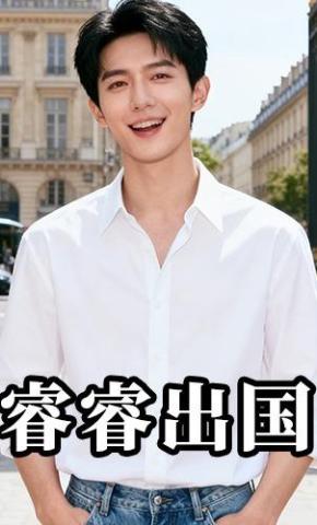 短剧《睿睿出国》海报