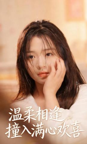 短剧《温柔相逢撞入满心欢喜》海报