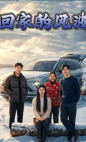短剧《回家的风波》海报
