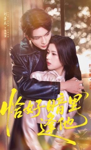 短剧《恰好暗里逢他》海报