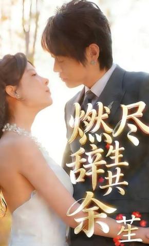 短剧《燃尽辞生共余笙》海报