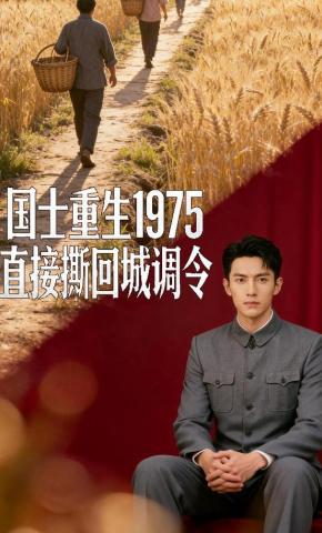 短剧《国士重生1975，直接撕回城调令》海报