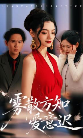 短剧雾散方知爱意迟海报