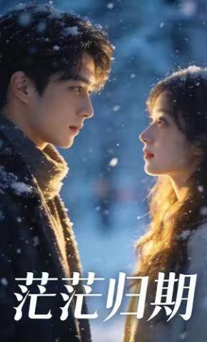 短剧《茫茫归期》海报