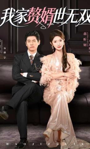 短剧我家赘婿世无双海报