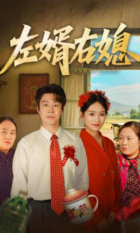 短剧《左婿右媳》海报
