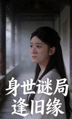 短剧身世谜局逢旧缘海报