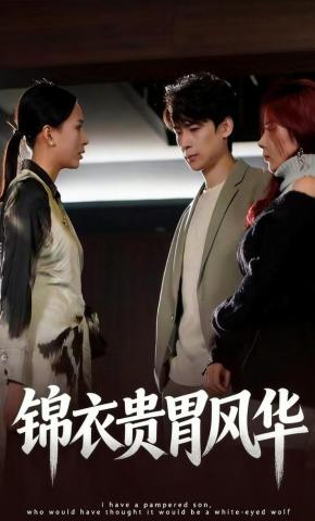 短剧锦衣贵胄风华海报