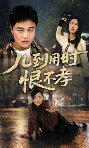 短剧《儿到用时恨不孝》海报