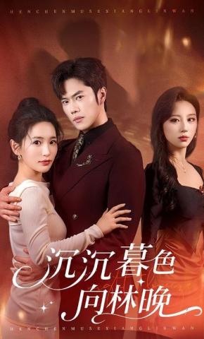 短剧沉沉暮色向林晚海报