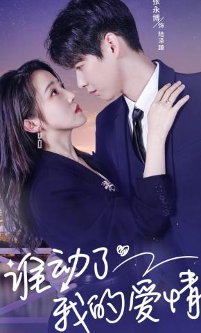 短剧《谁动了我的爱情》海报