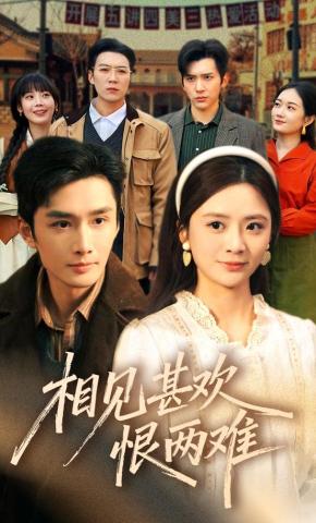 短剧《相见甚欢恨两难》海报