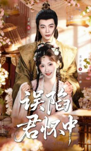 短剧《误陷君怀中》海报