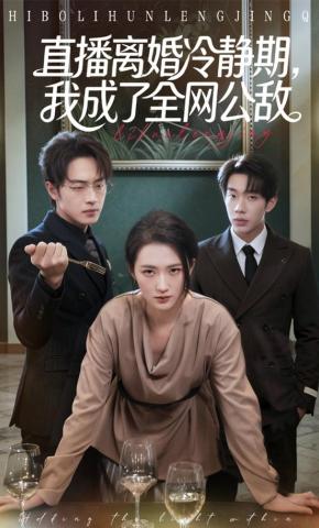 短剧《直播离婚冷静期，我成了全网公敌》海报