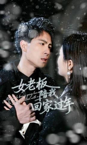 短剧《女老板陪我回家过年》海报