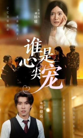 短剧《谁是心尖宠》海报