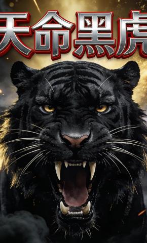 短剧《天命黑虎》海报