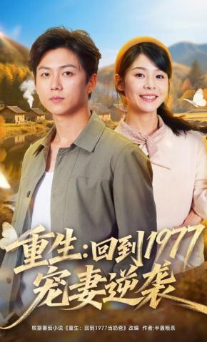 短剧重生：回到1977当奶爸海报