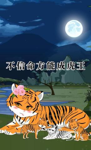 短剧《不信命方能成虎王》海报