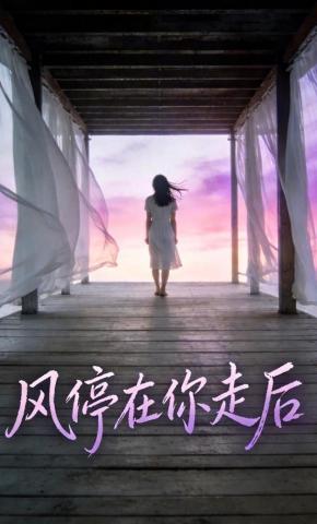短剧《风停在你走后》海报